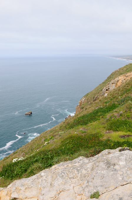 DSC_1450